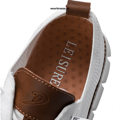 Dualbrush 2-en-1 Capture 95% Des Poil de Votre Animal